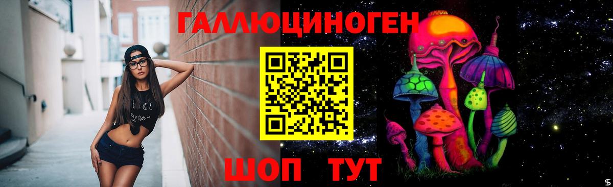 купить  сайты  Вход с VPN  Ефремов  Псилоцибиновые грибы Psilocybine cubensis 